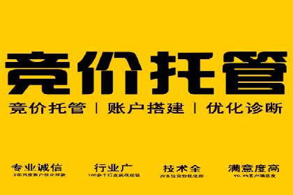 百度竞价广告运营实战：创意与执行的完美结合